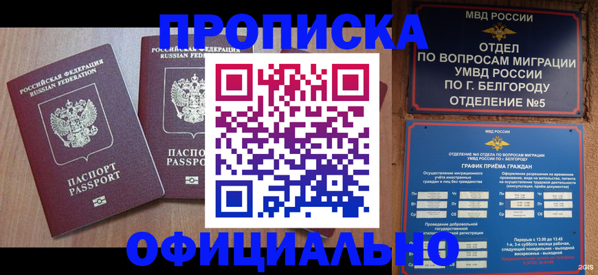 найти адрес прописки в Тавде